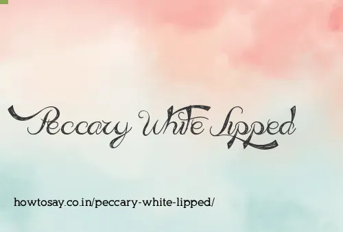 Peccary White Lipped