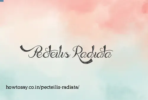 Pecteilis Radiata