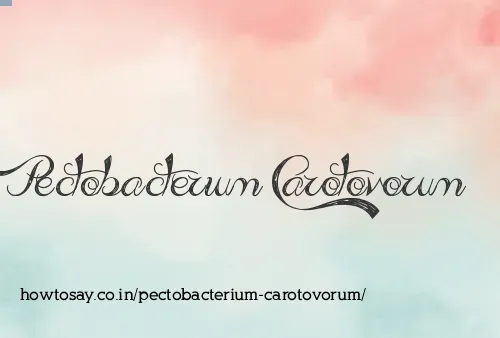 Pectobacterium Carotovorum