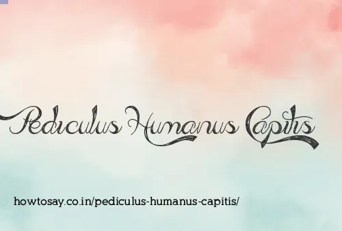 Pediculus Humanus Capitis