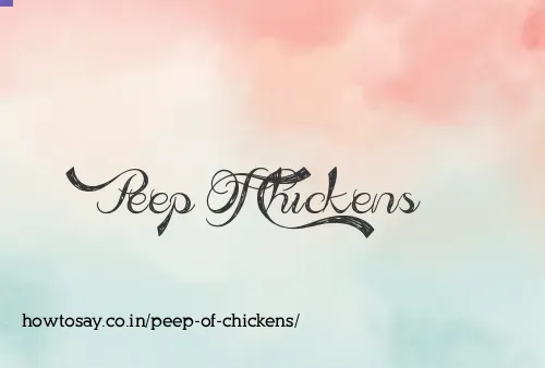 Peep Of Chickens