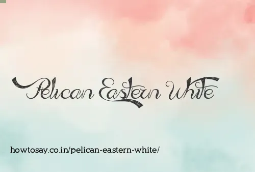 Pelican Eastern White