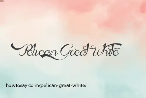 Pelican Great White