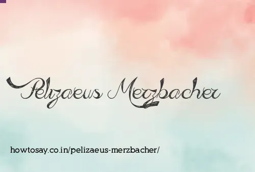 Pelizaeus Merzbacher