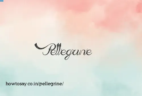 Pellegrine