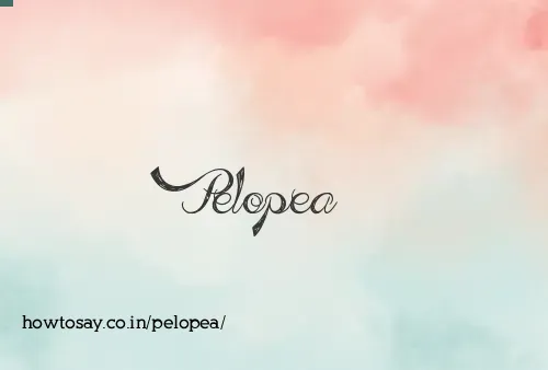 Pelopea