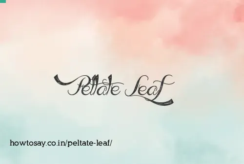 Peltate Leaf