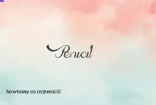 Penicil