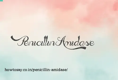 Penicillin Amidase