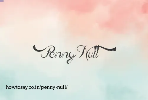 Penny Null