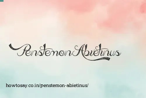 Penstemon Abietinus