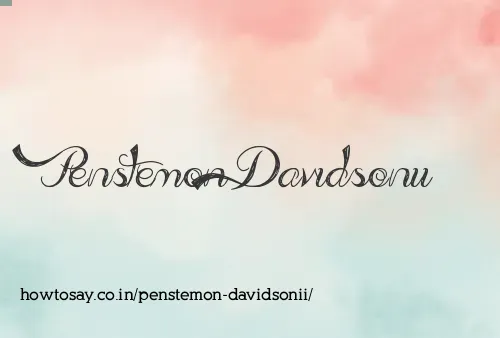 Penstemon Davidsonii