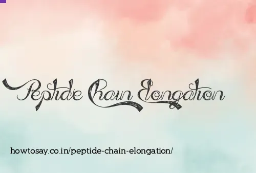 Peptide Chain Elongation