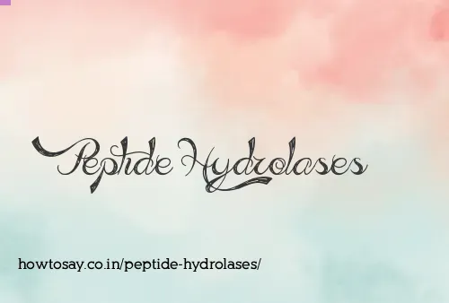 Peptide Hydrolases