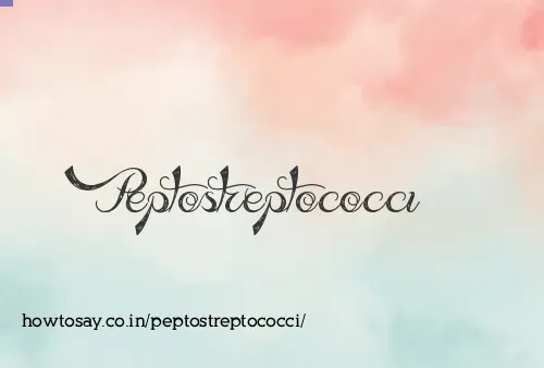 Peptostreptococci