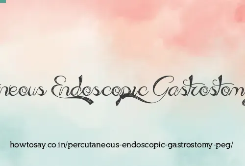 Percutaneous Endoscopic Gastrostomy Peg