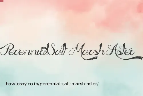 Perennial Salt Marsh Aster