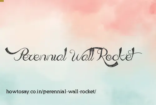 Perennial Wall Rocket