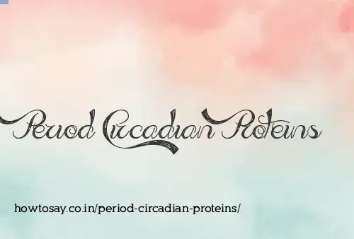 Period Circadian Proteins