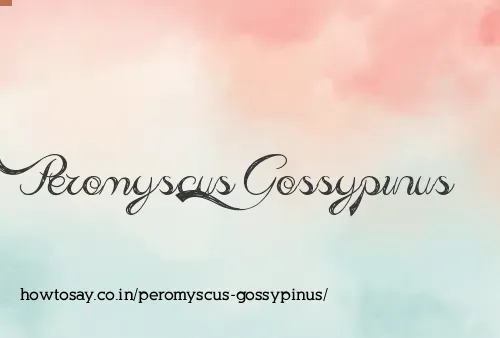 Peromyscus Gossypinus