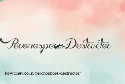 Peronospora Destructor