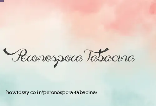 Peronospora Tabacina