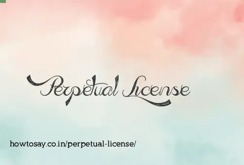 Perpetual License