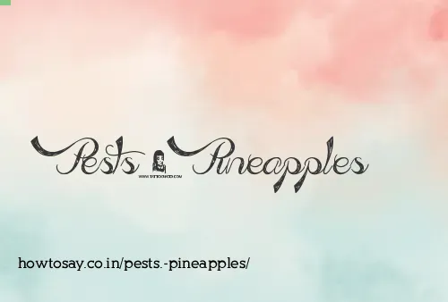Pests. Pineapples