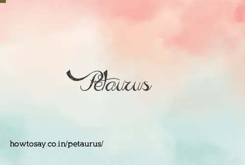 Petaurus