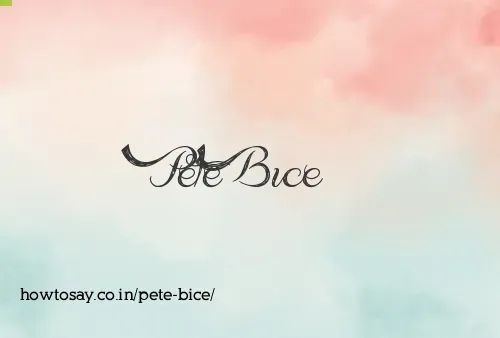 Pete Bice