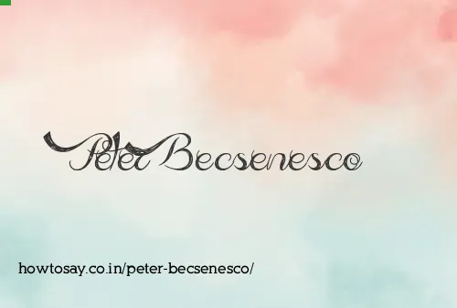 Peter Becsenesco