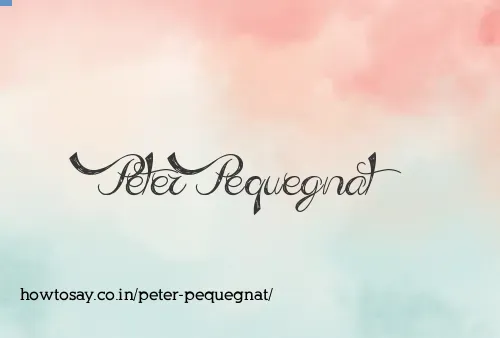 Peter Pequegnat