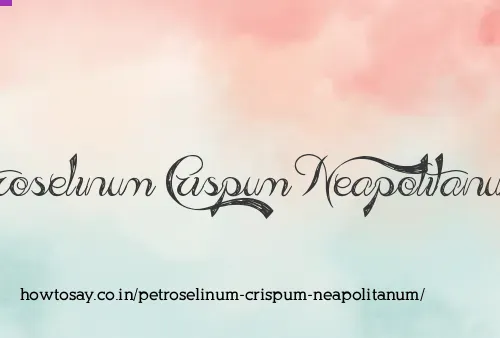 Petroselinum Crispum Neapolitanum