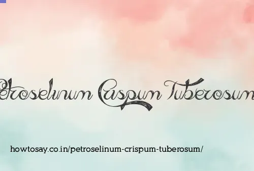 Petroselinum Crispum Tuberosum