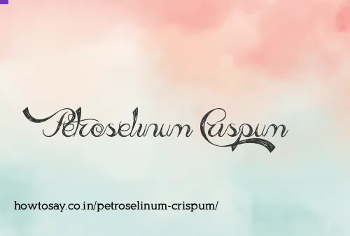 Petroselinum Crispum