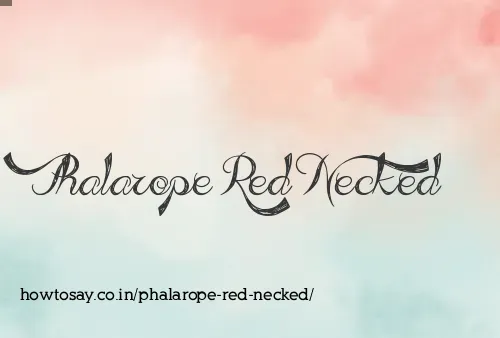 Phalarope Red Necked