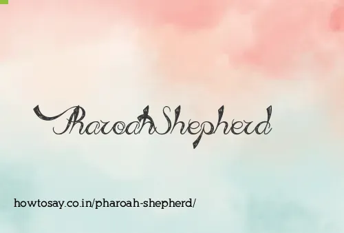 Pharoah Shepherd