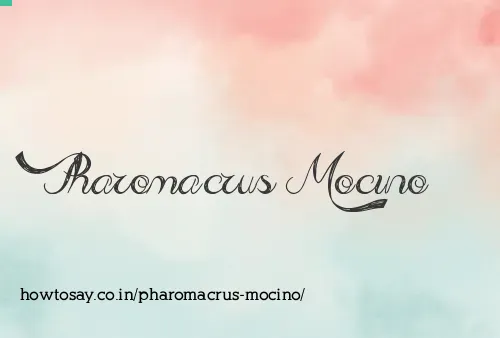 Pharomacrus Mocino