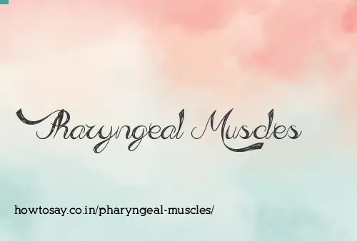 Pharyngeal Muscles