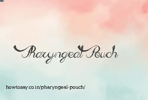 Pharyngeal Pouch