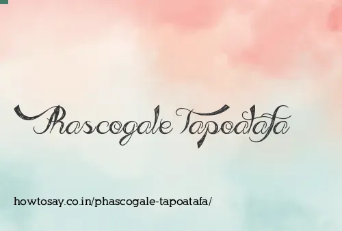 Phascogale Tapoatafa