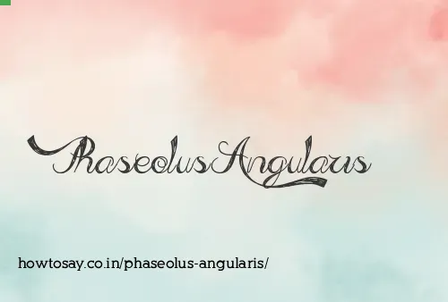 Phaseolus Angularis