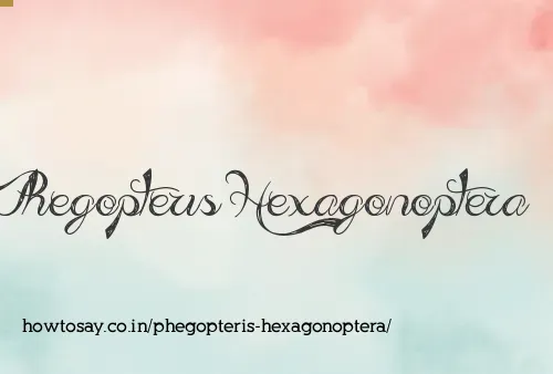 Phegopteris Hexagonoptera