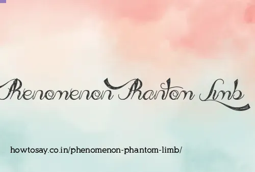 Phenomenon Phantom Limb