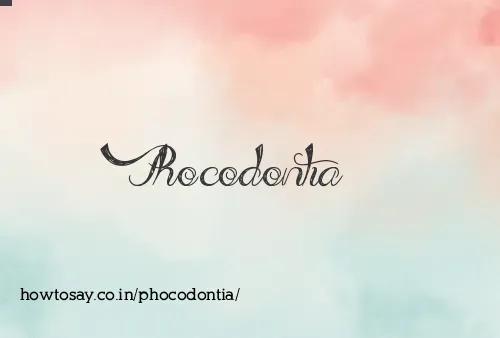 Phocodontia