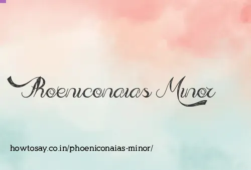 Phoeniconaias Minor
