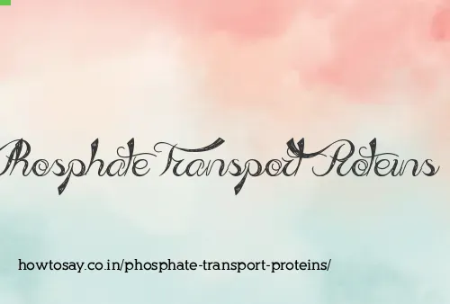 Phosphate Transport Proteins
