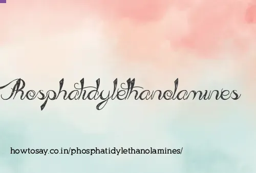 Phosphatidylethanolamines