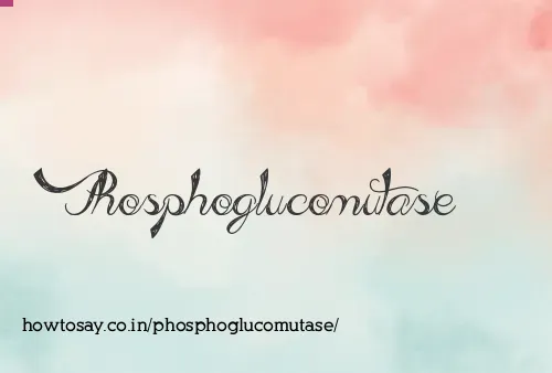 Phosphoglucomutase