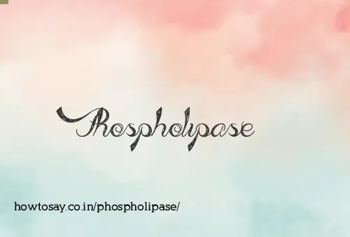 Phospholipase
